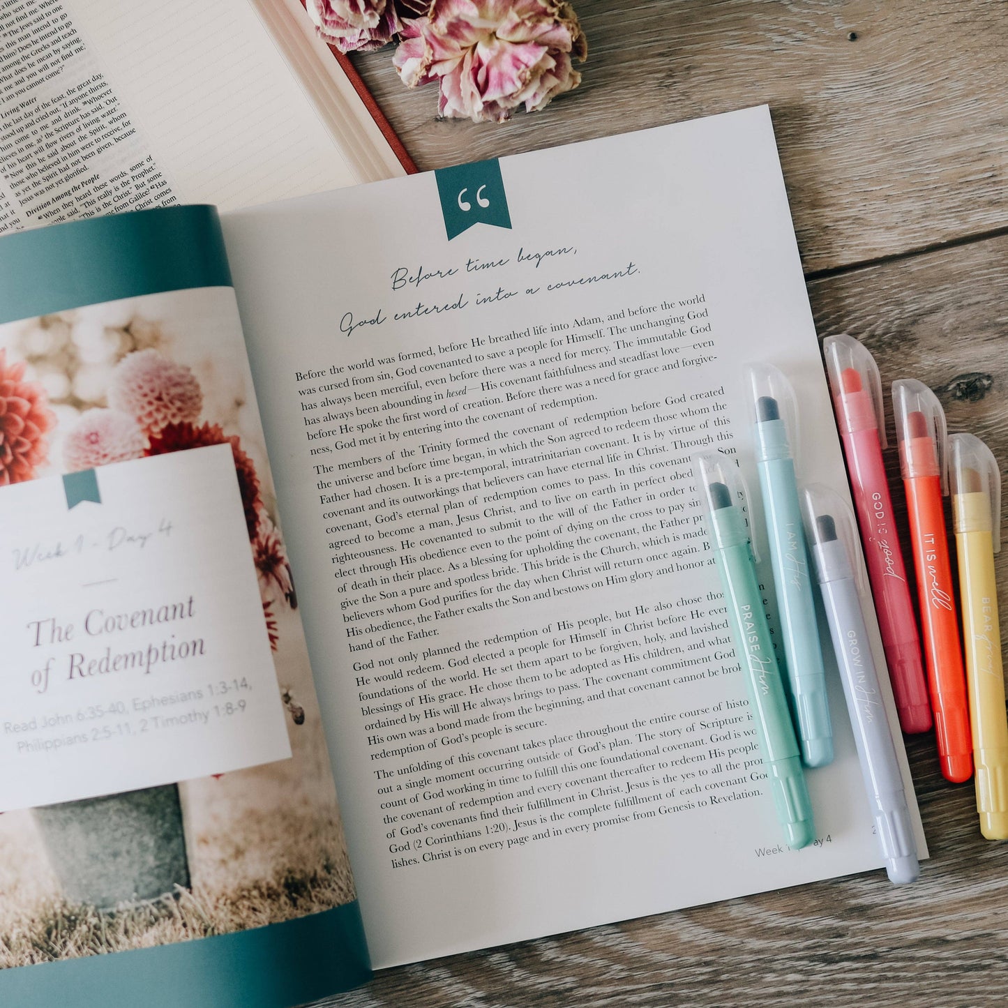 Faithful Bible Study on the Covenants