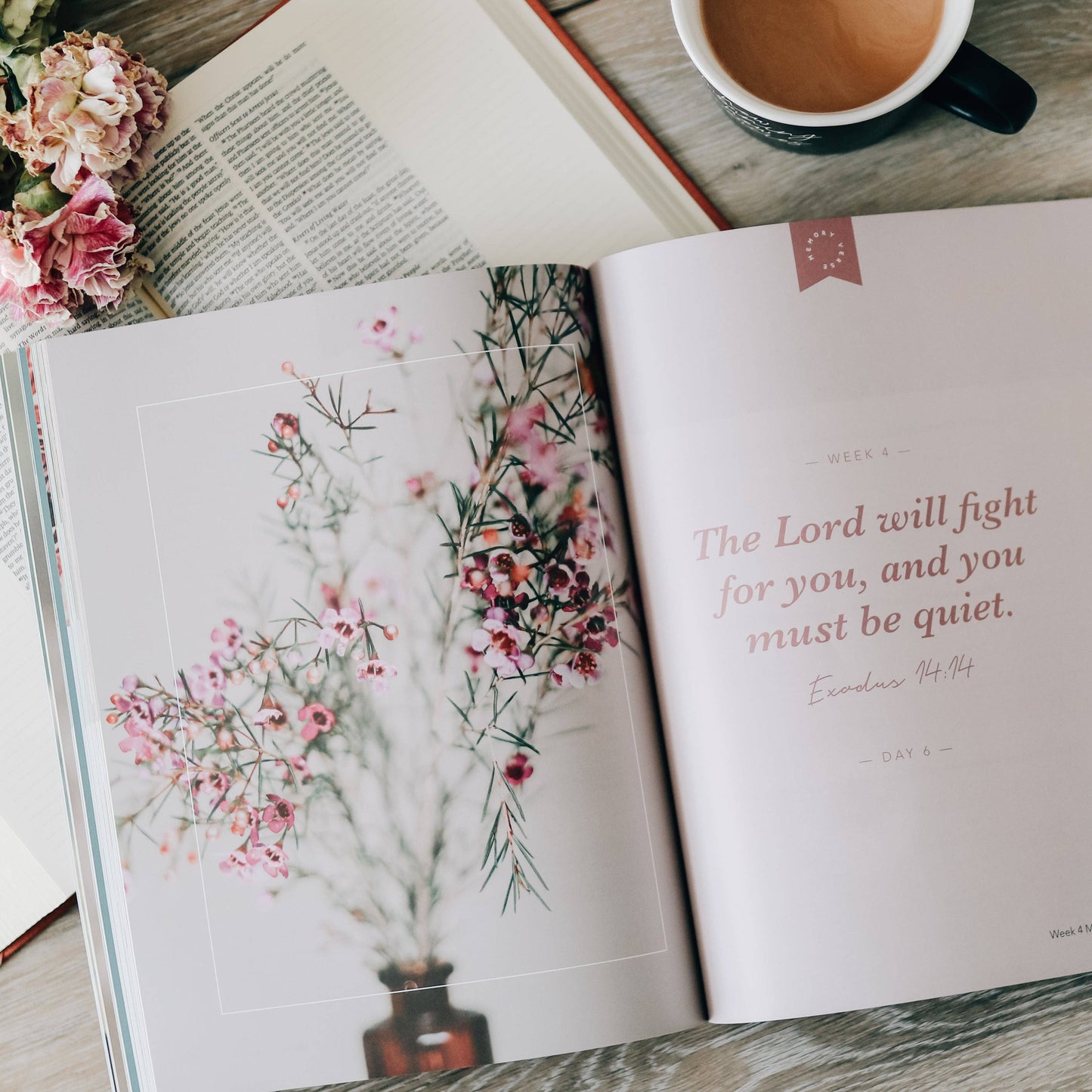 Faithful Bible Study on the Covenants