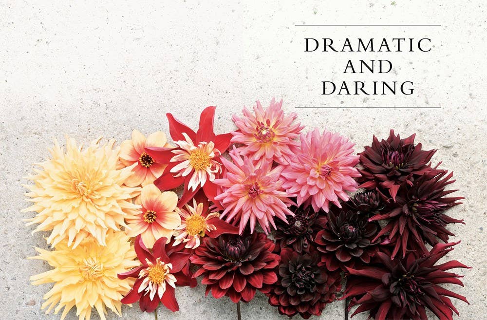 Dahlias Hardcover Book
