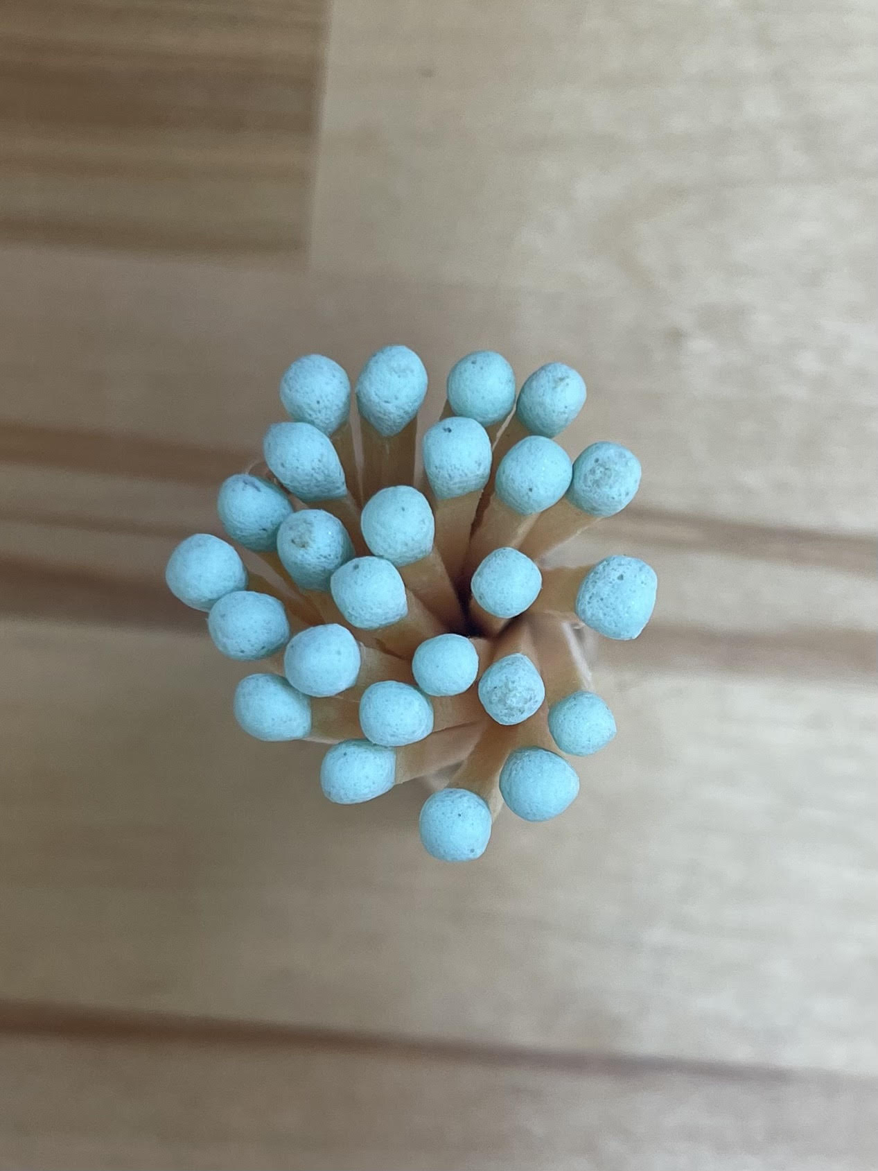 Saftey Matches Refills