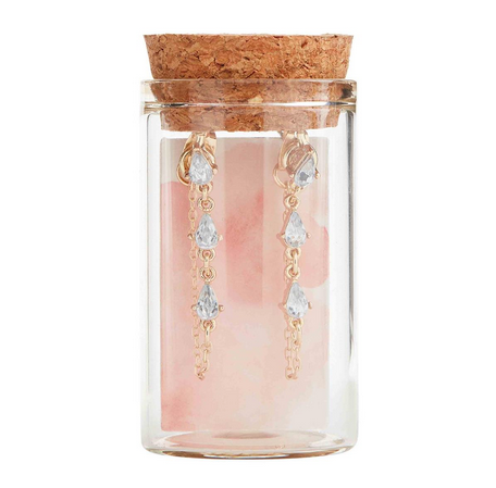 Glass Jar Earrings