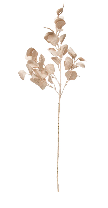 Painted Eucalyptus