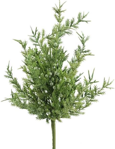 Green and Brown Juniper Bush