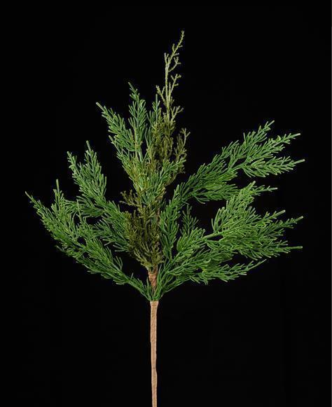 Green Cedar Spray