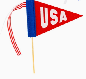 Americana Felt Pennants