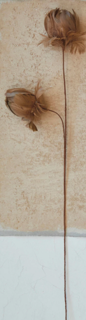 Feather Flower