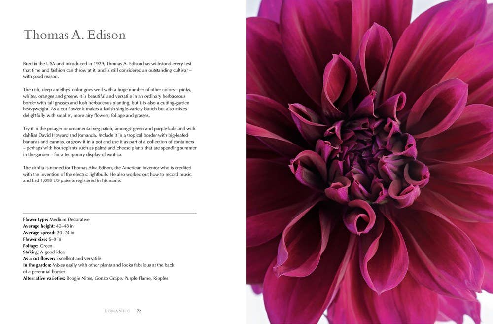 Dahlias Hardcover Book