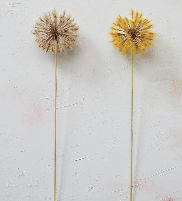 Dandelion Pick