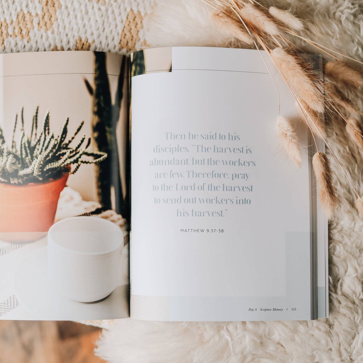 Sharing Our Faith Evangelism Resource