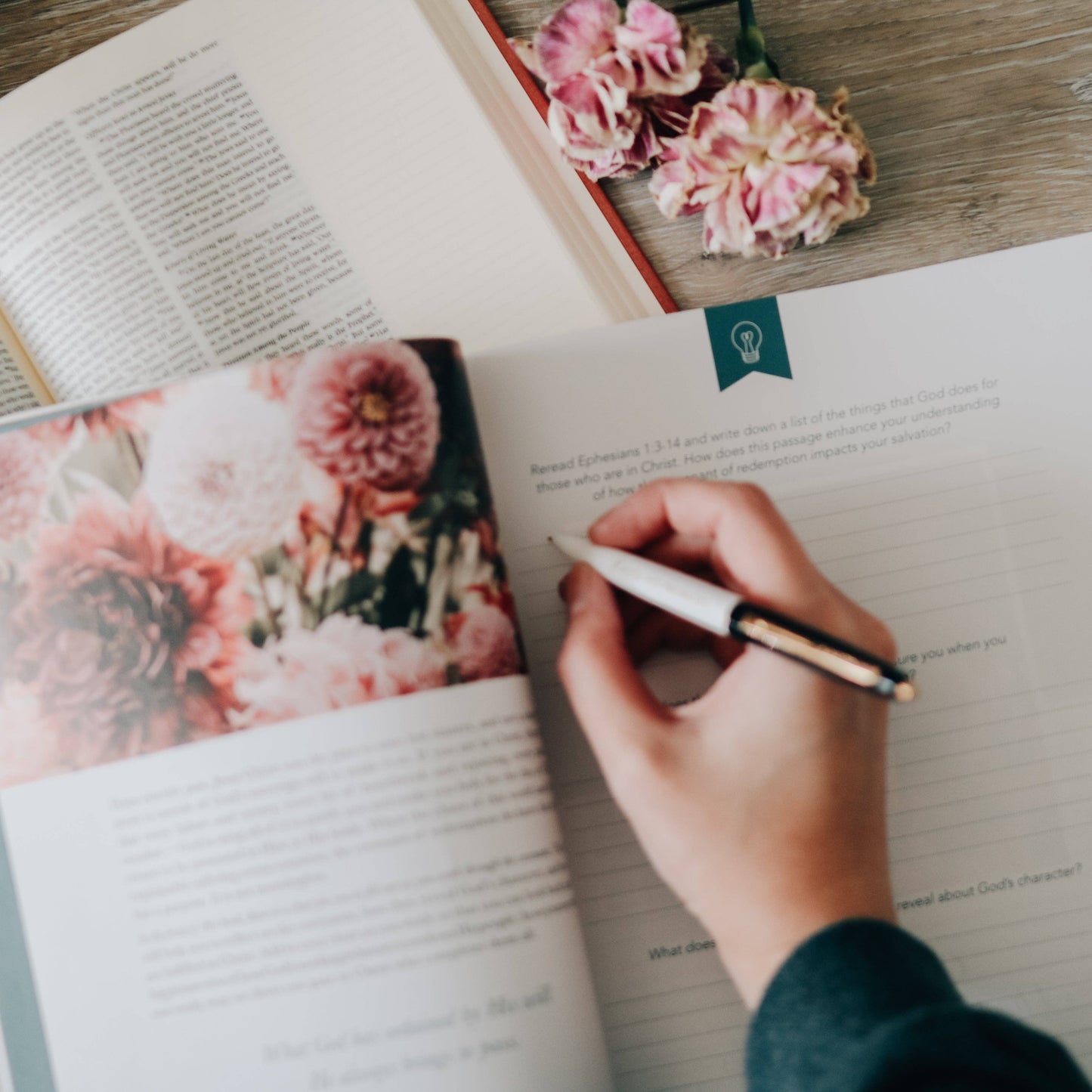 Faithful Bible Study on the Covenants