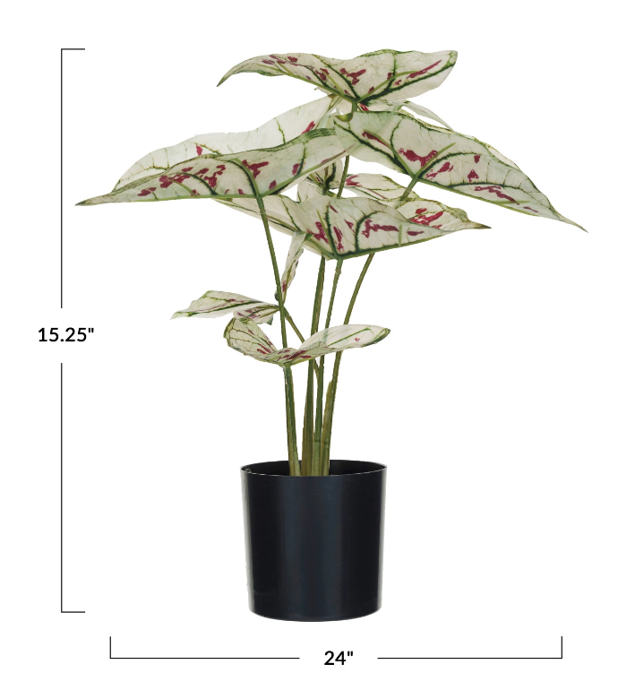 Faux Caladium Plant in Plastic Pot