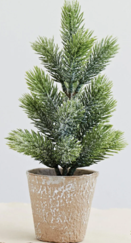 Pine Tree in Paper Mache Pot