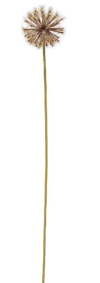 Dandelion Pick