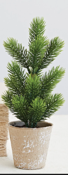 Pine Tree in Paper Mache Pot