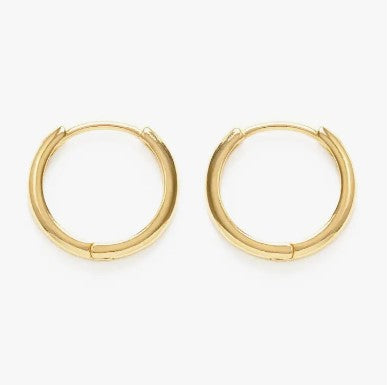 Small Gold Hoops