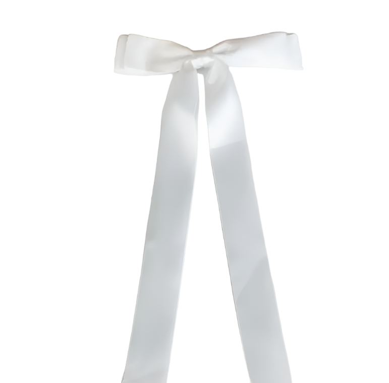 Classic Satin Bows with Clip