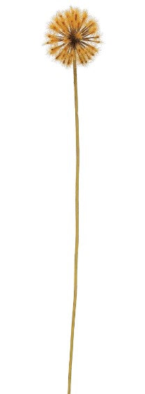 Dandelion Pick
