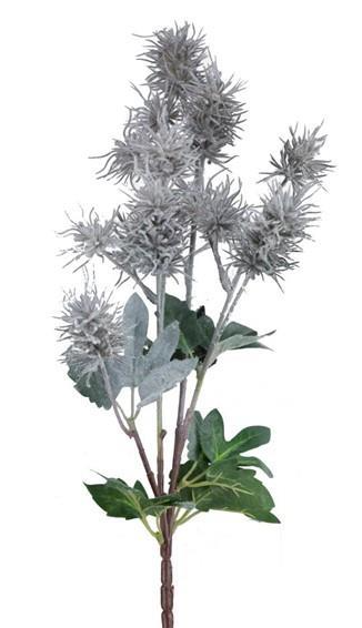 Thistle Spray