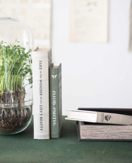 Canvas Storage Book Collection