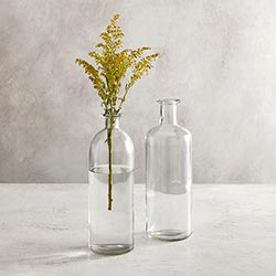Clear Glass Vase Collection