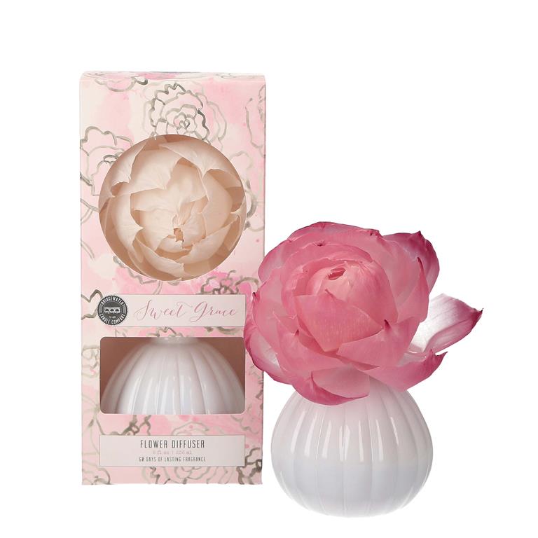 Sweet Grace Collection