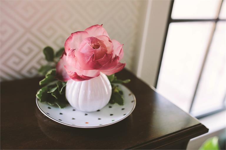 Sweet Grace Collection