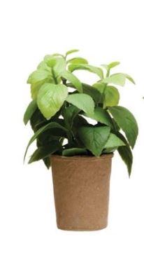 Faux Herb in Paper Pot, 5 Styles