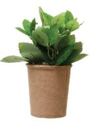 Faux Herb in Paper Pot, 5 Styles