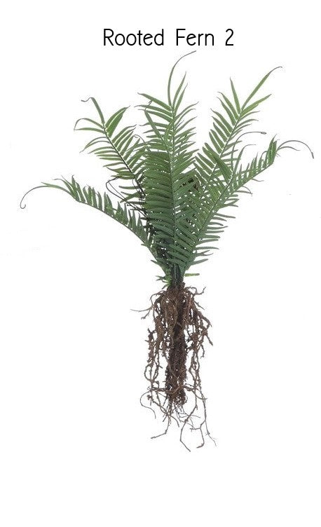 Faux Ferns w/ Exposed Roots, 3 Styles