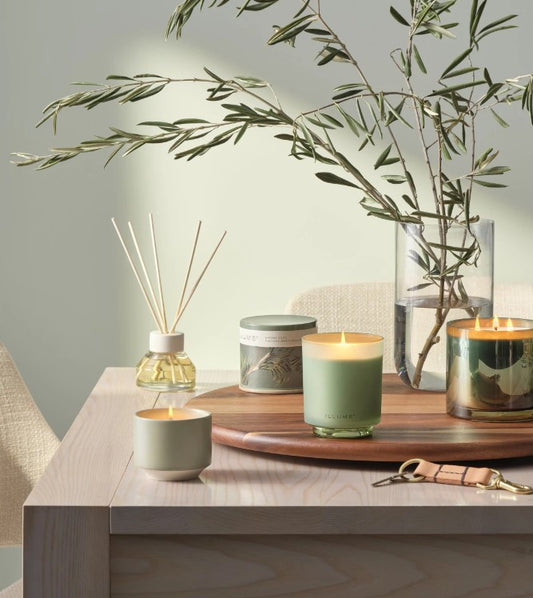 Hinoki Sage Collection