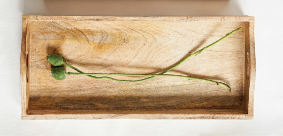 Mango Wood Trays