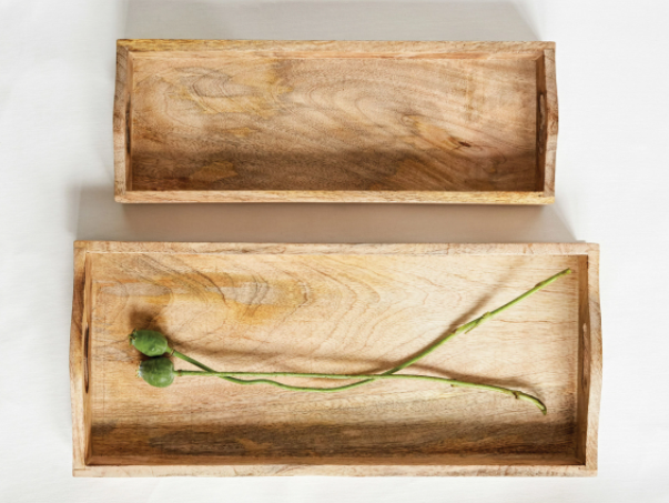 Mango Wood Trays