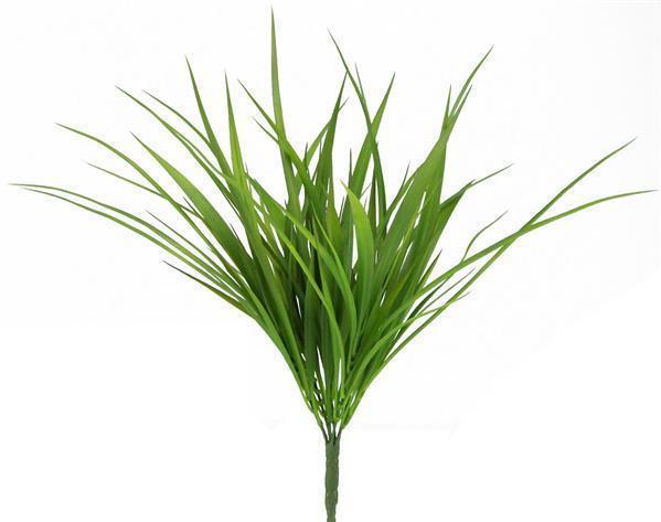 Wide Grass Bush
