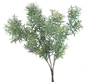 Rosemary Grass Bush