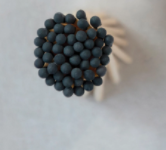 Safety Matches Collection