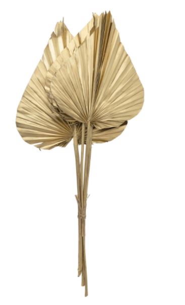 Spear Cut Palm Leaf Collection