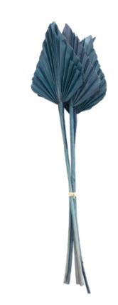 Spear Cut Palm Leaf Collection