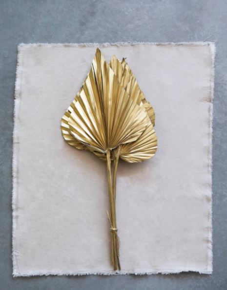 Spear Cut Palm Leaf Collection