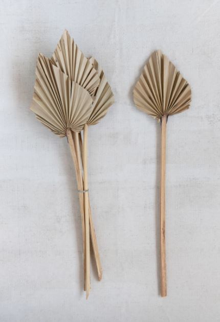 Spear Cut Palm Leaf Collection