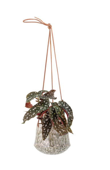Stoneware Hanging Planter