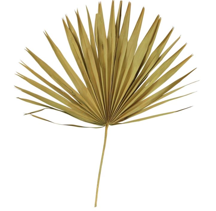 Sun Cut Palm Collection