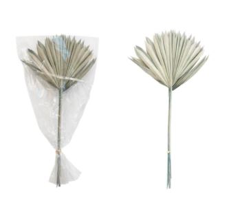 Sun Cut Palm Collection
