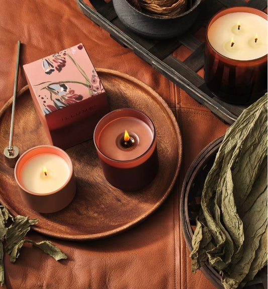 Terra Tabac Collection