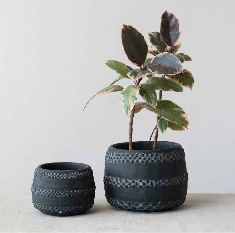 Terra-cotta Planter w/ Raised Dots