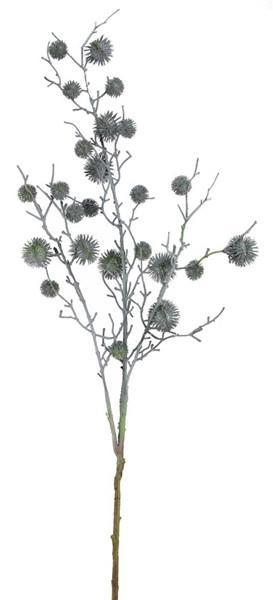 Thistle Spray