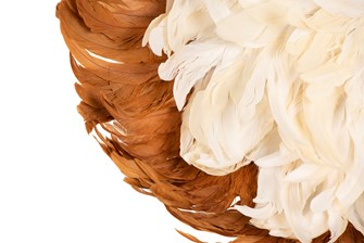 Round Two-Tone Feather Wall Décor