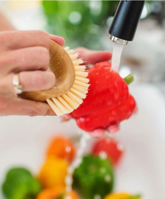 Veggie Brush