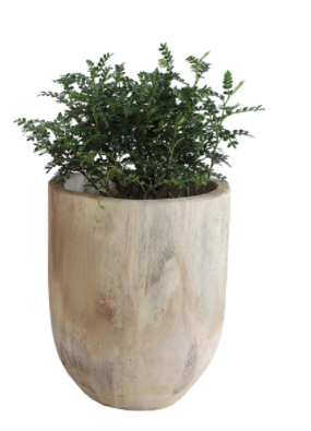 Paulownia Wood Planters