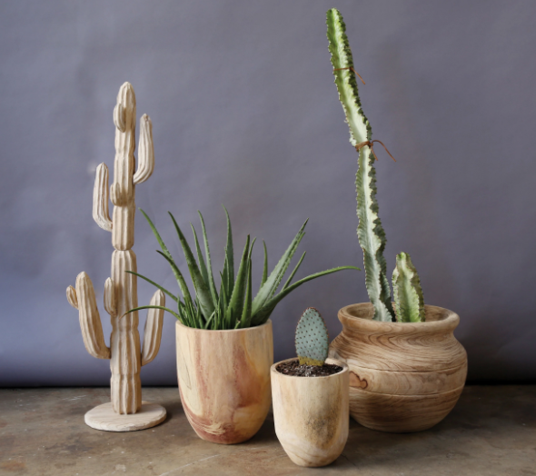 Paulownia Wood Planters