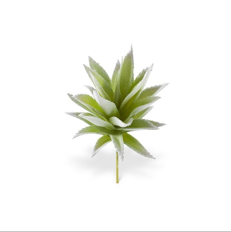 Green and Purple Aloe Vera Succulent Pick